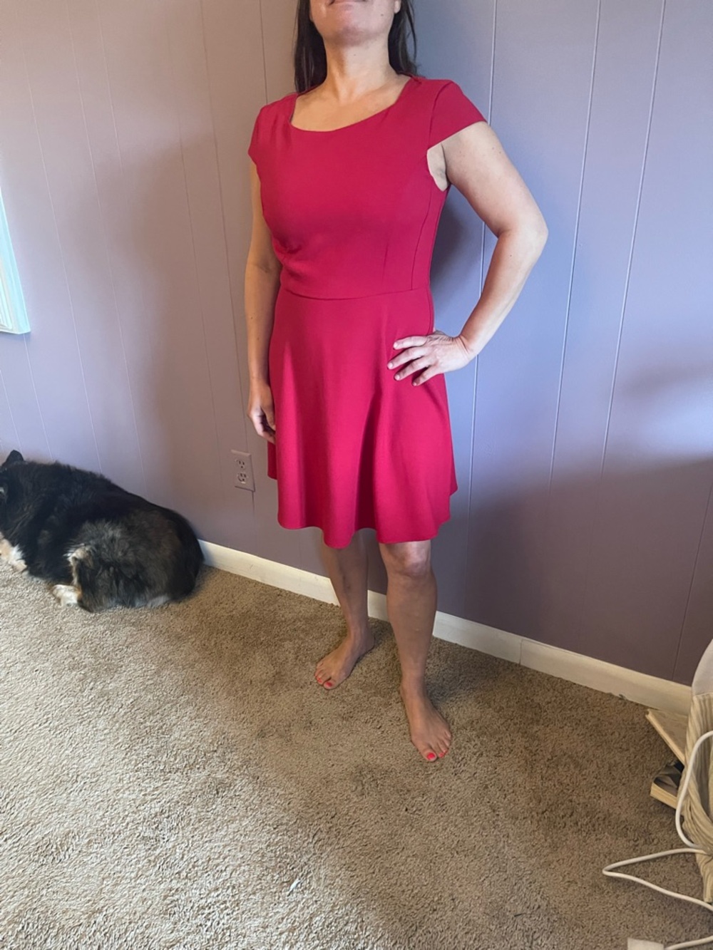 French Connection Red Cap Sleeve Fit-and-Flare Mini Dress